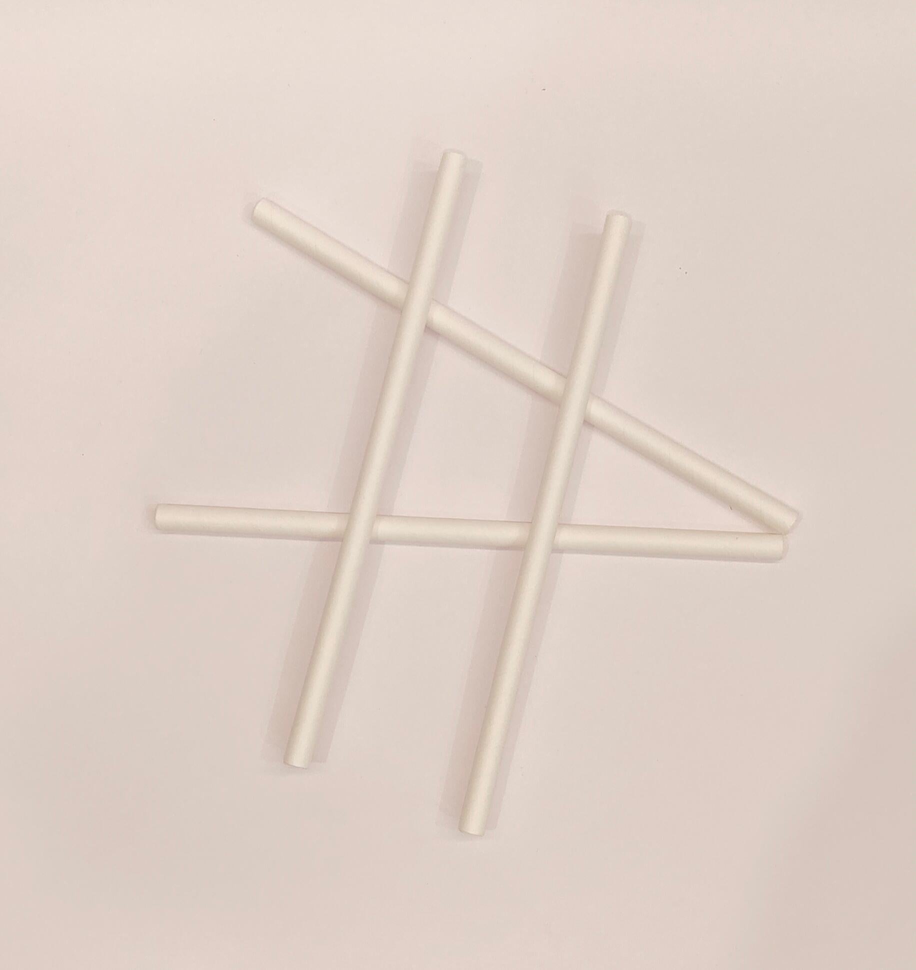 Paper Straws