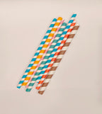 Paper Straws